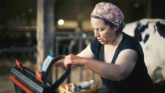 France Télévisions raconte le monde agricole